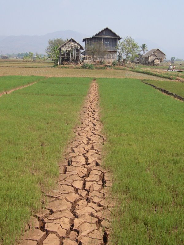 Travel - Myanmar - Inle Lake - Second Boat Trip - Walk to the Market